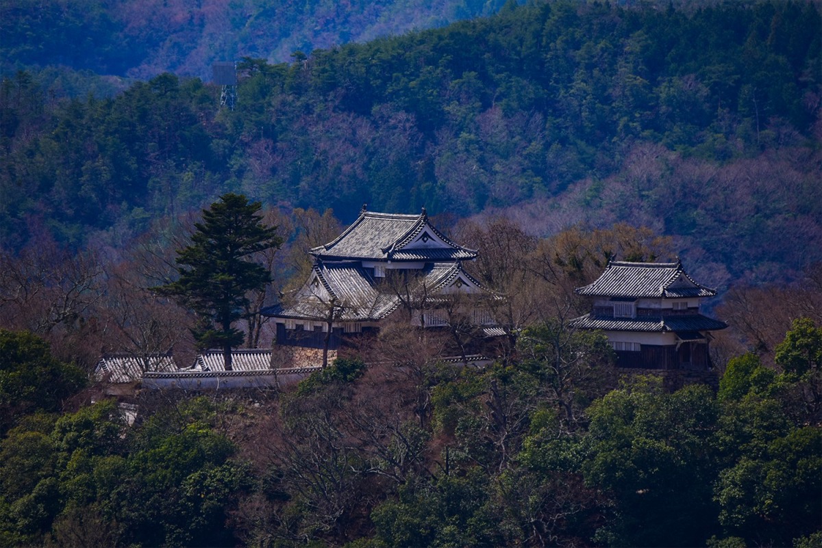 天守が残る日本で唯一の山城「備中松山城」は巨大な岩盤の上に立つお城でした！