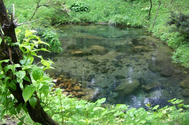 晴れの国のおいしい水を探せ！ 岡山県に3ヵ所ある「名水百選」めぐり
