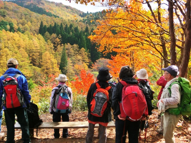 秋色の森を歩こう！ 初心者でも楽しめる岡山県北の紅葉トレッキング6選