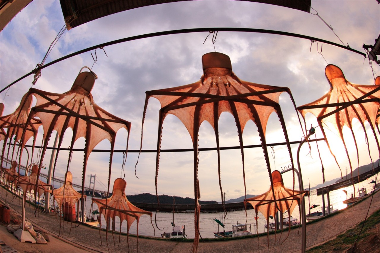 SNS映え間違いなし!わざわざ撮りに行きたい瀬戸内のフォトジェニック風景5選（秋冬編）