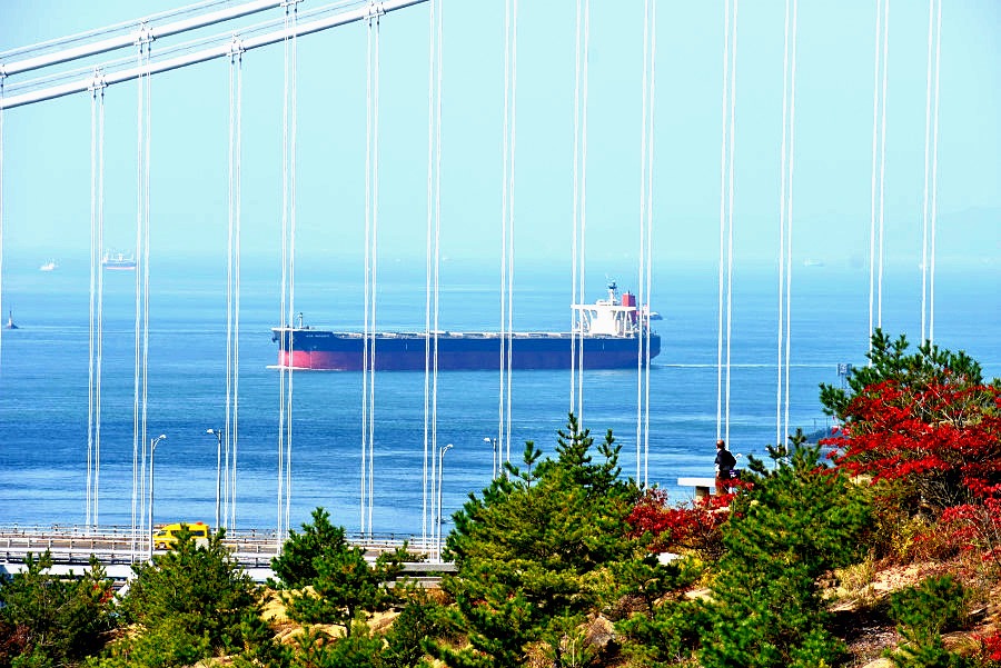 SNS映え確実?!レンタサイクルで巡る絵になるスポット10選