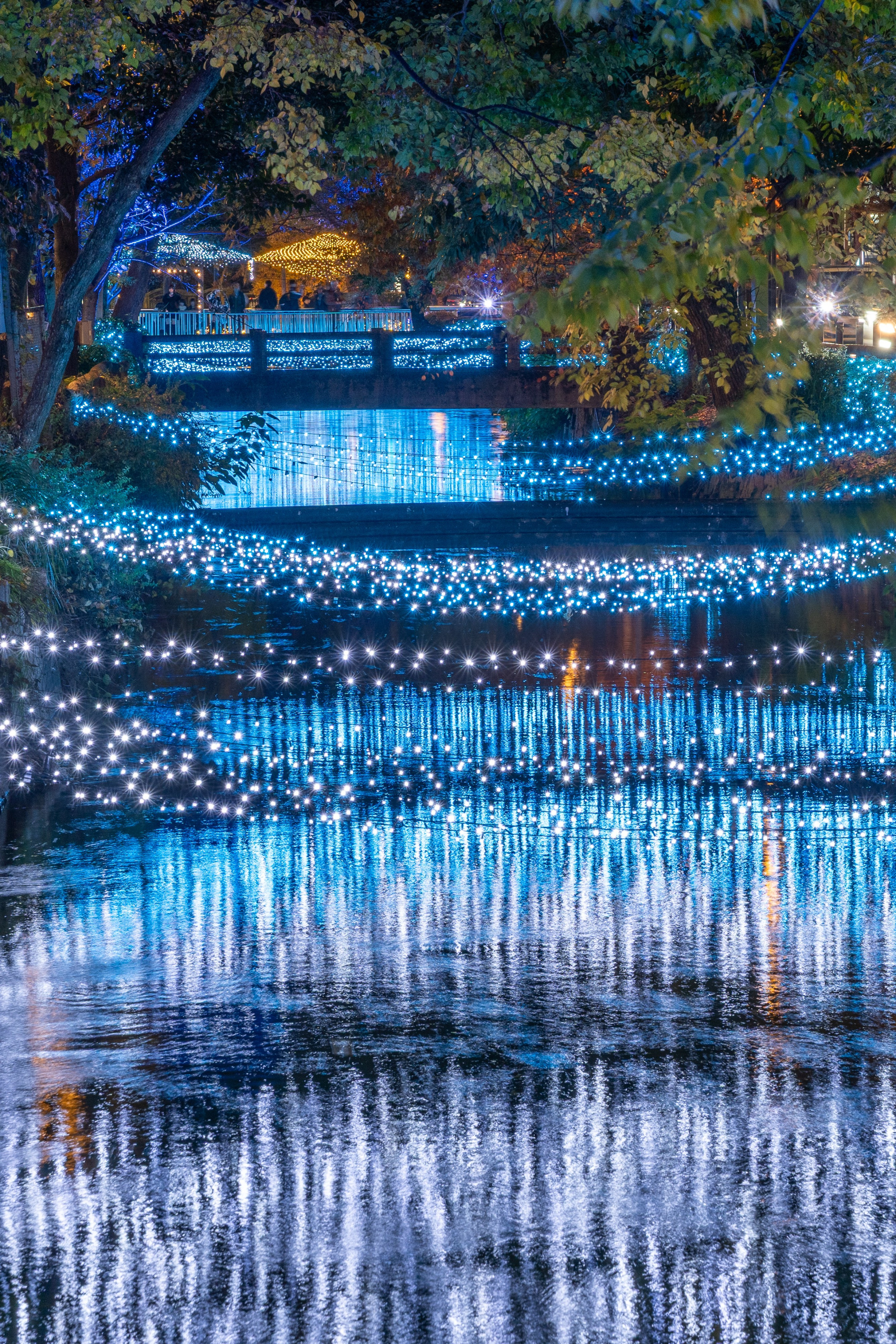 【2025年度版】今年はどこ行く？ 岡山の冬を彩るイルミネーションスポット11選