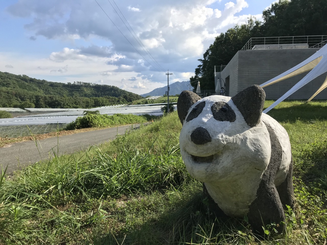 飲む人も飲まない人も楽しめる！自然の中の県北おすすめワイナリー