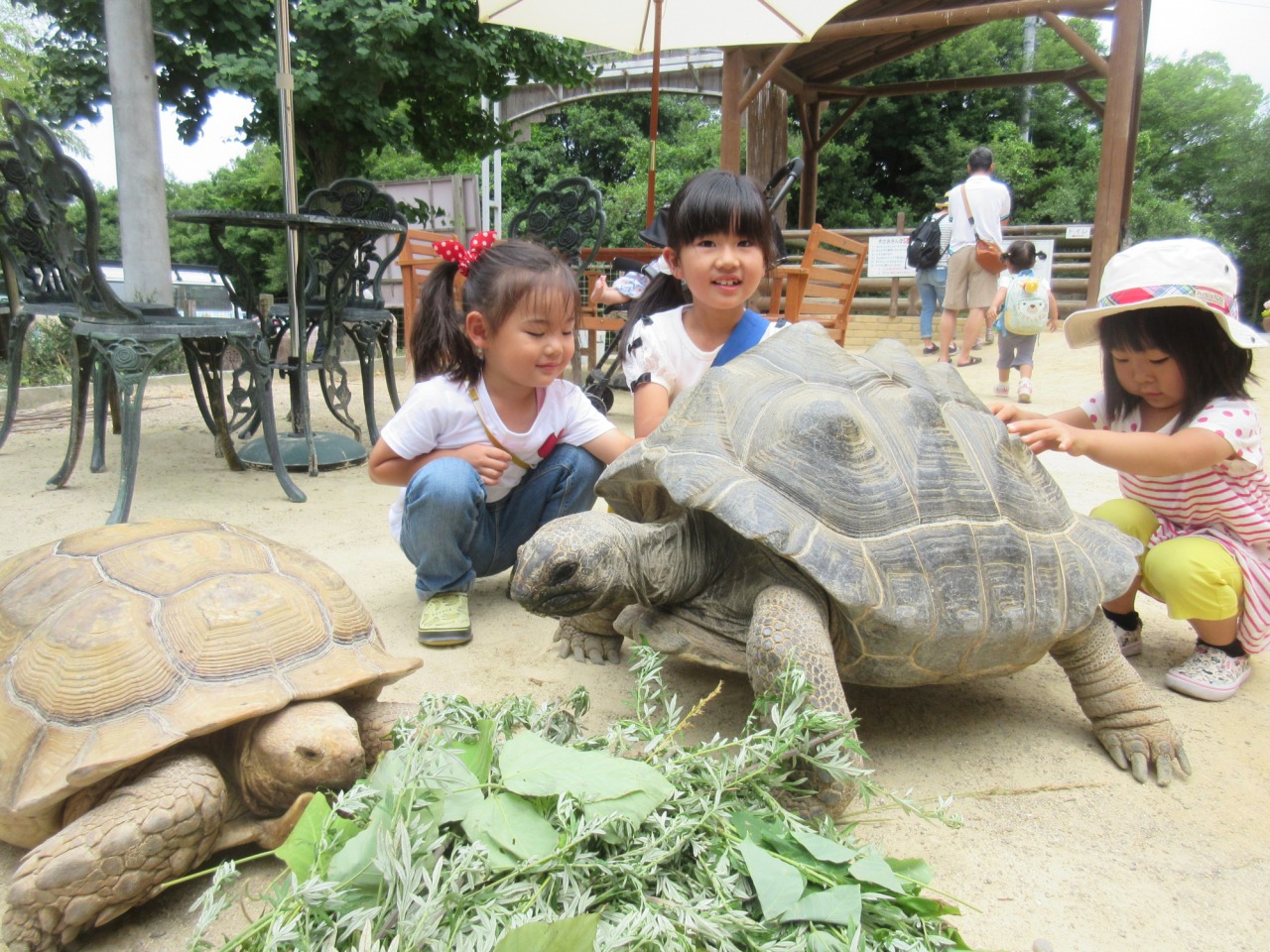 敬老の日は家族でおでかけ！ 三世代で楽しめる岡山のおすすめエリア5選