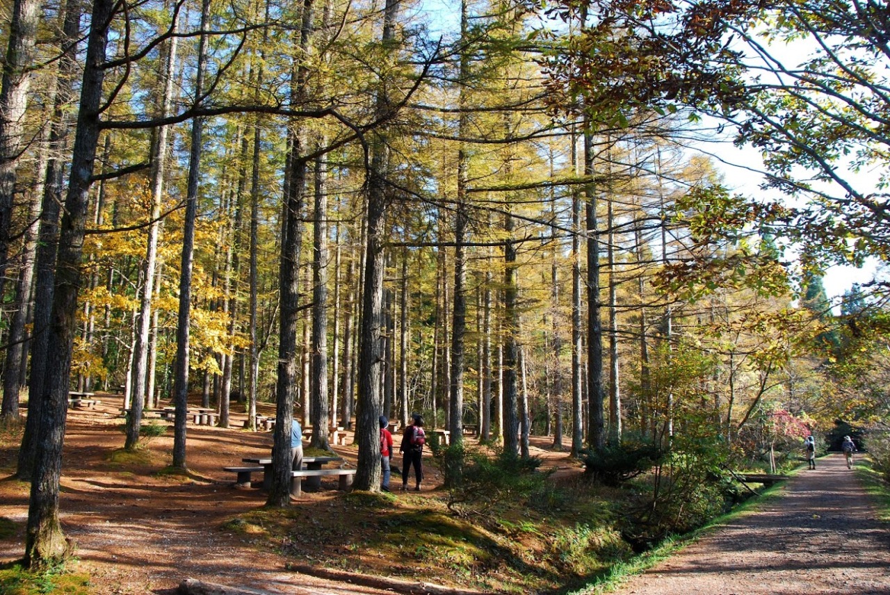 秋の紅葉と一緒に楽しみたい!健康のまち鏡野町の自然アクテビティー6選
