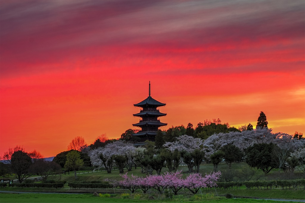 春は吉備路を歩こう!備中国分寺周辺の絵になる花風景7選
