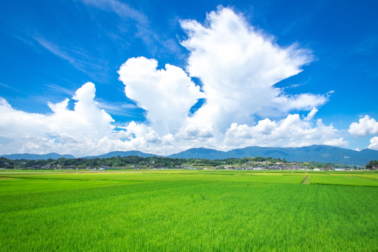 「ほどヨイ！田舎」勝央町でファームステイツアー。収穫に体験にパワースポットめぐりまで！ 