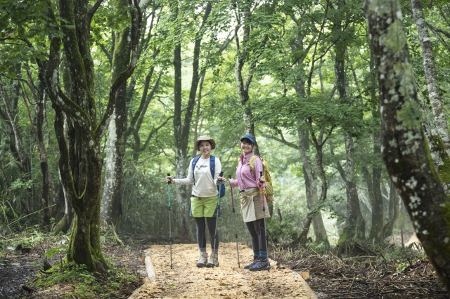 原生林に山野草、紅葉、白銀の世界まで！ 中国山地の四季を楽しむ「高清水トレイル」グランドオープン