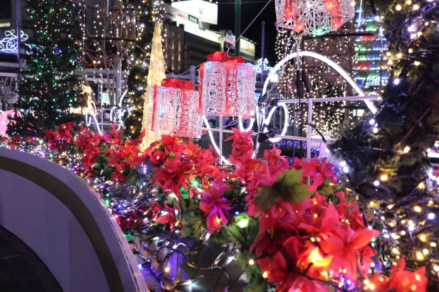 ホテルのフォトジェニックなクリスマスツリー6選（岡山駅周辺）