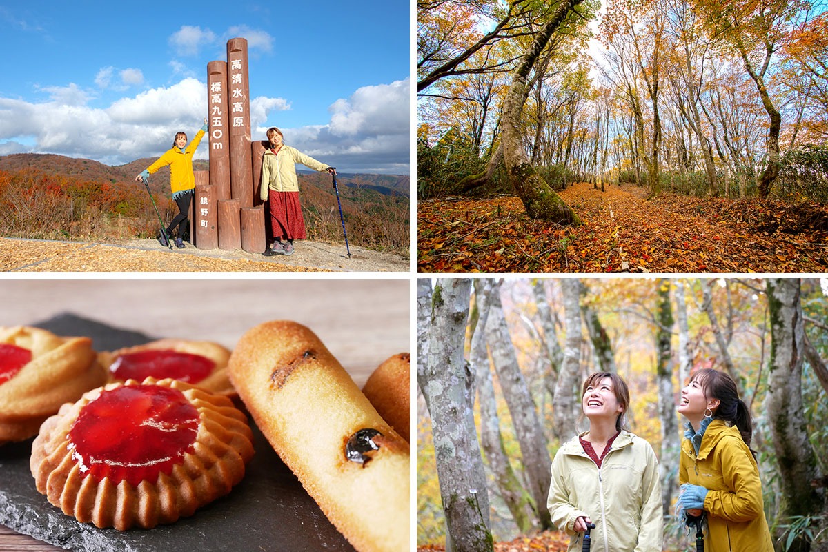 鏡野町「高清水トレイル」で秋の原生林ハイク。地元産フルーツのおやつを持って行こう！ 