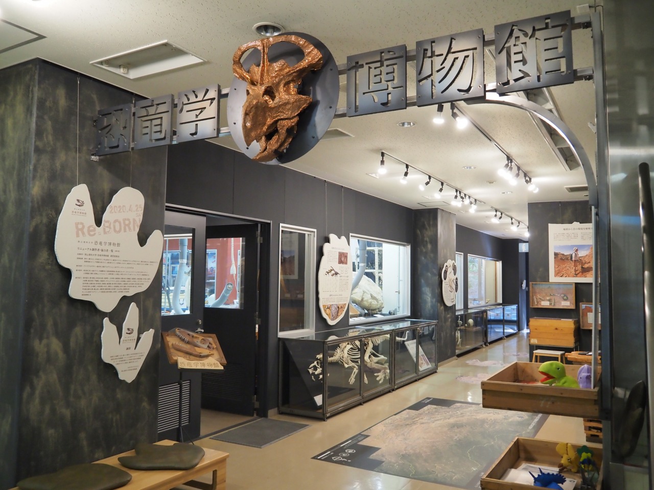 超リアル！岡山理科大学「恐竜学博物館」で、子供も大人も学んで感動！