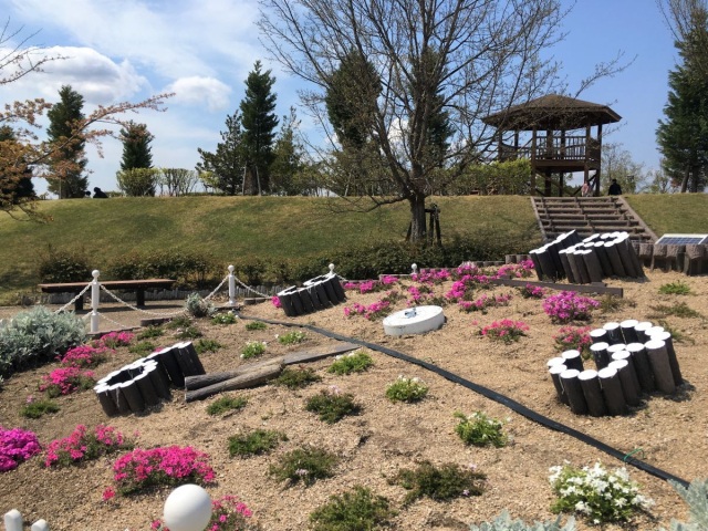 キレイな水辺で花やピクニックも楽しめる！「自然環境体験公園」でゆるりと遊ぼう！