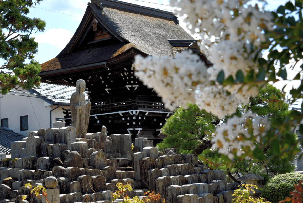 思わず見惚れる!アートなお寺おすすめ9選