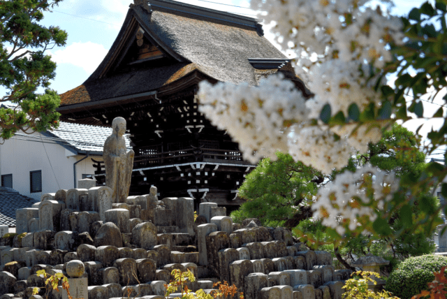 思わず見惚れる！アートなお寺おすすめ9選