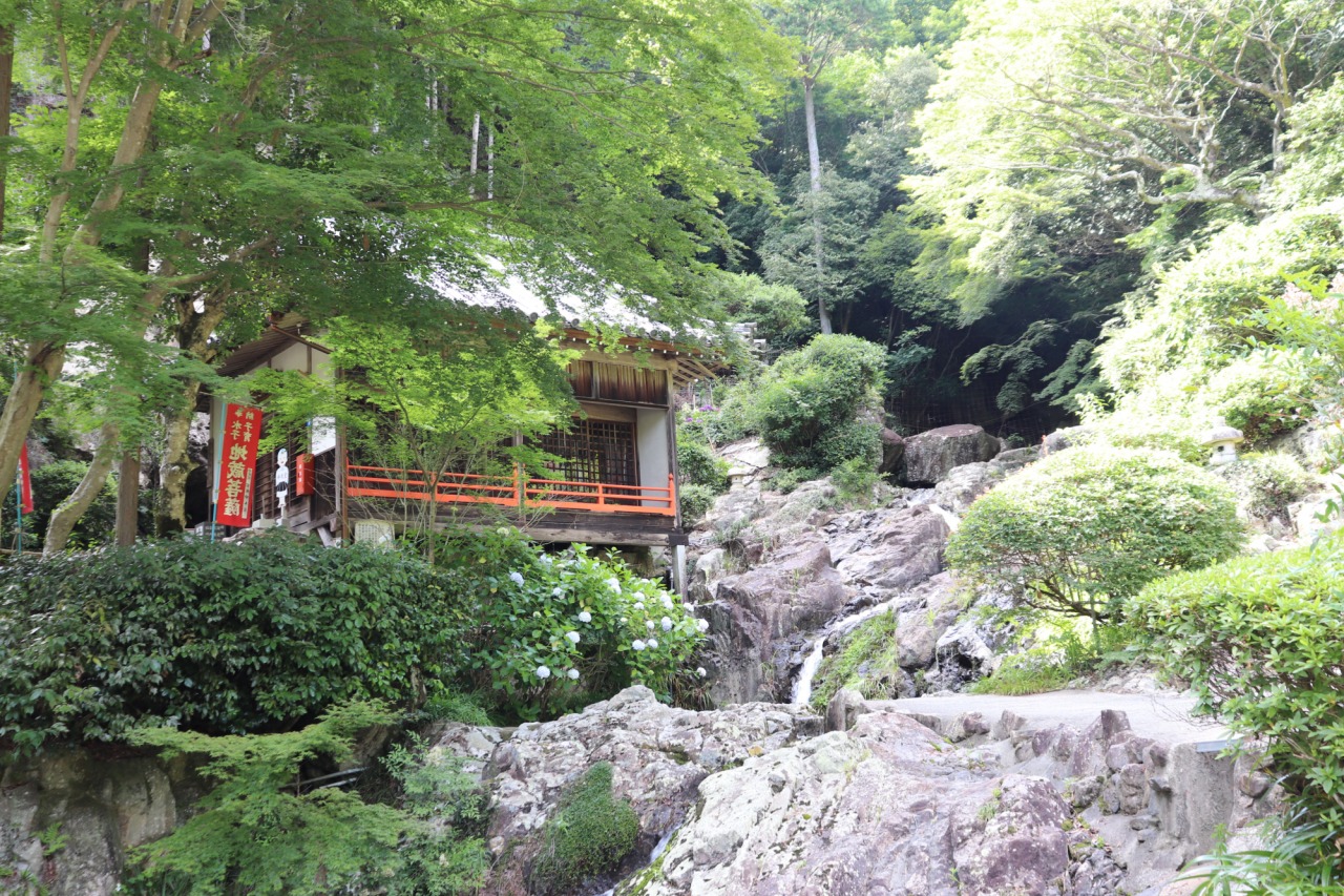 今が見頃!滝のあるアジサイ寺「大滝山西法院」で癒されてきた!