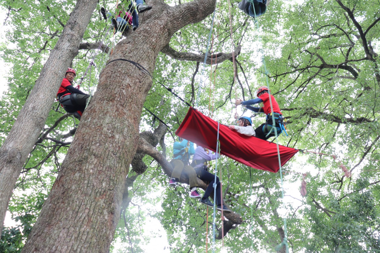 今回は樹上カメラマン！ツリークライミング初体験。木は生きている！