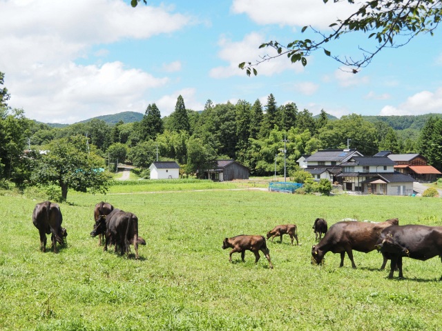 牧場直営レストランで「千屋花見牛」を堪能！　牛・人・地域に優しいお肉が生まれた背景とは
