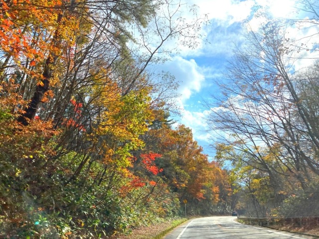 岡山の紅葉ドライブ！蒜山大山スカイライン沿いで楽しむ秋の風物詩