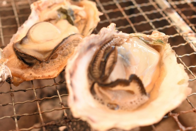 牡蠣初めは日生へ。手ぶらで海鮮をたらふく味わってきた！