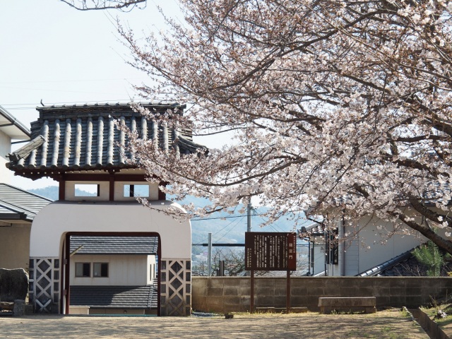 定番から穴場まで！ 浅口市内の桜スポット7選