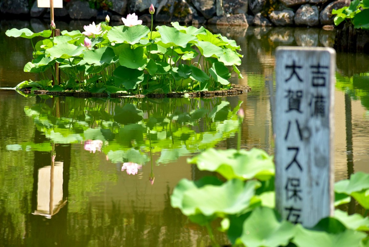 てくてく水路をめぐる!庭瀬・撫川界隈ほっこり発見旅