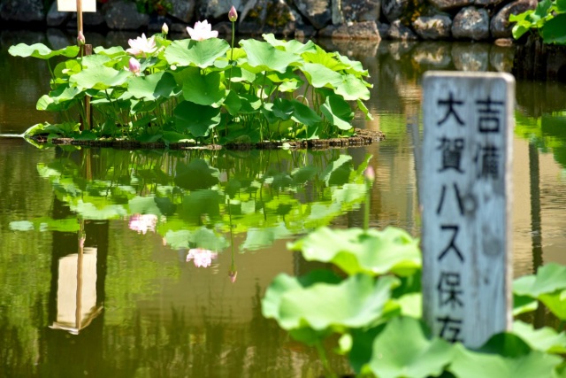 てくてく水路をめぐる！庭瀬・撫川界隈ほっこり発見旅