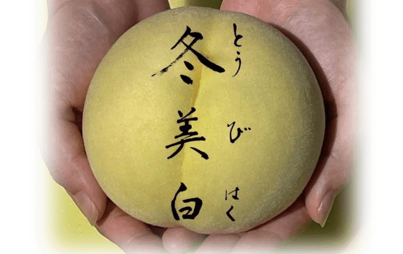 岡山県で秋冬に旬を迎える幻の冬桃「冬美白」実食レポート!