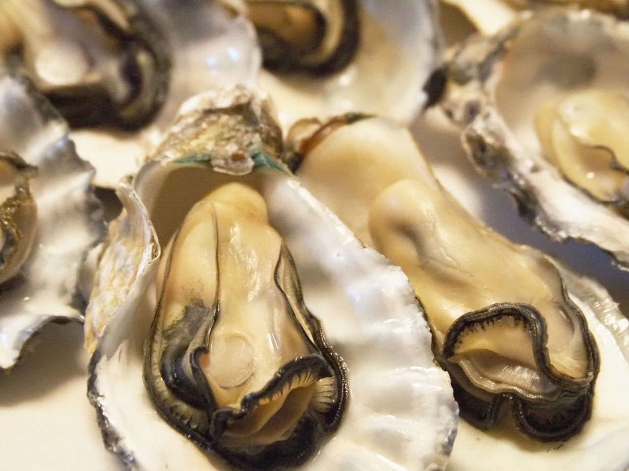 濃厚！寄島牡蠣の買い方・食べ方を地元民が紹介！この冬の出来栄えは？