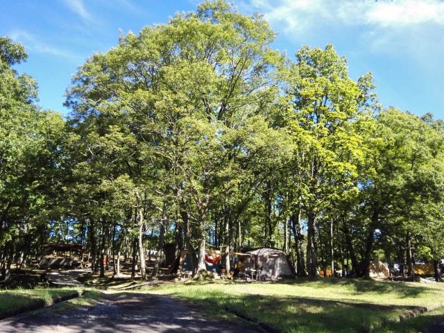 健康のまち鏡野町で快適キャンプ！ 心身ともにリフレッシュしよう