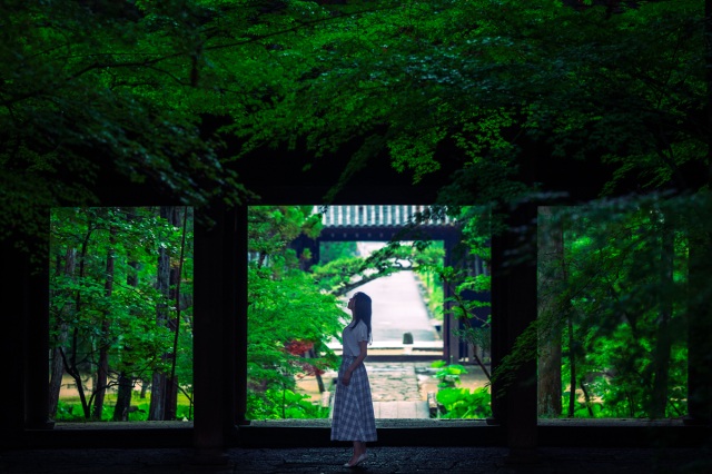 梅雨ならではの美しさ！岡山市の写真映えする庭園とお寺3選