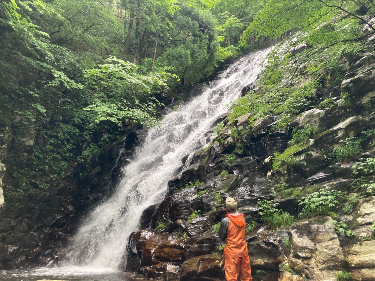 阿波トレッキング&自然セラピーでストレス軽減