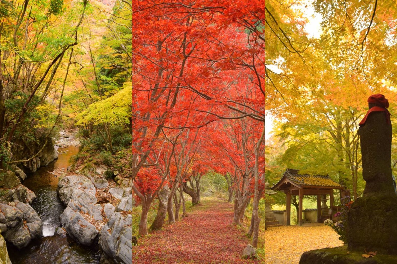 岡山県民おすすめ!「岡山の紅葉スポット」10選