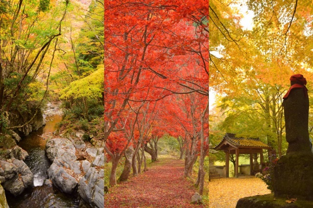 岡山県民おすすめ！「岡山の紅葉スポット」10選
