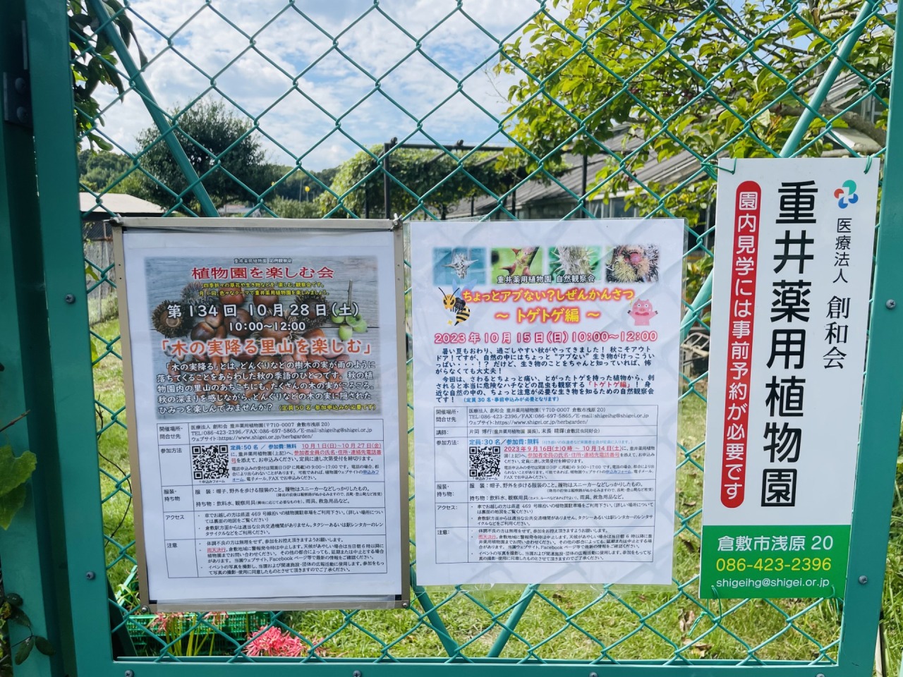 絶滅危惧種の草花も見られる「重井薬用植物園」へ行ってみた!