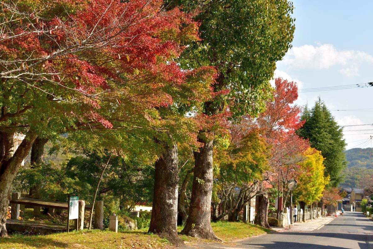 初心者向け!紅葉の足守を目指してのんびりサイクリング