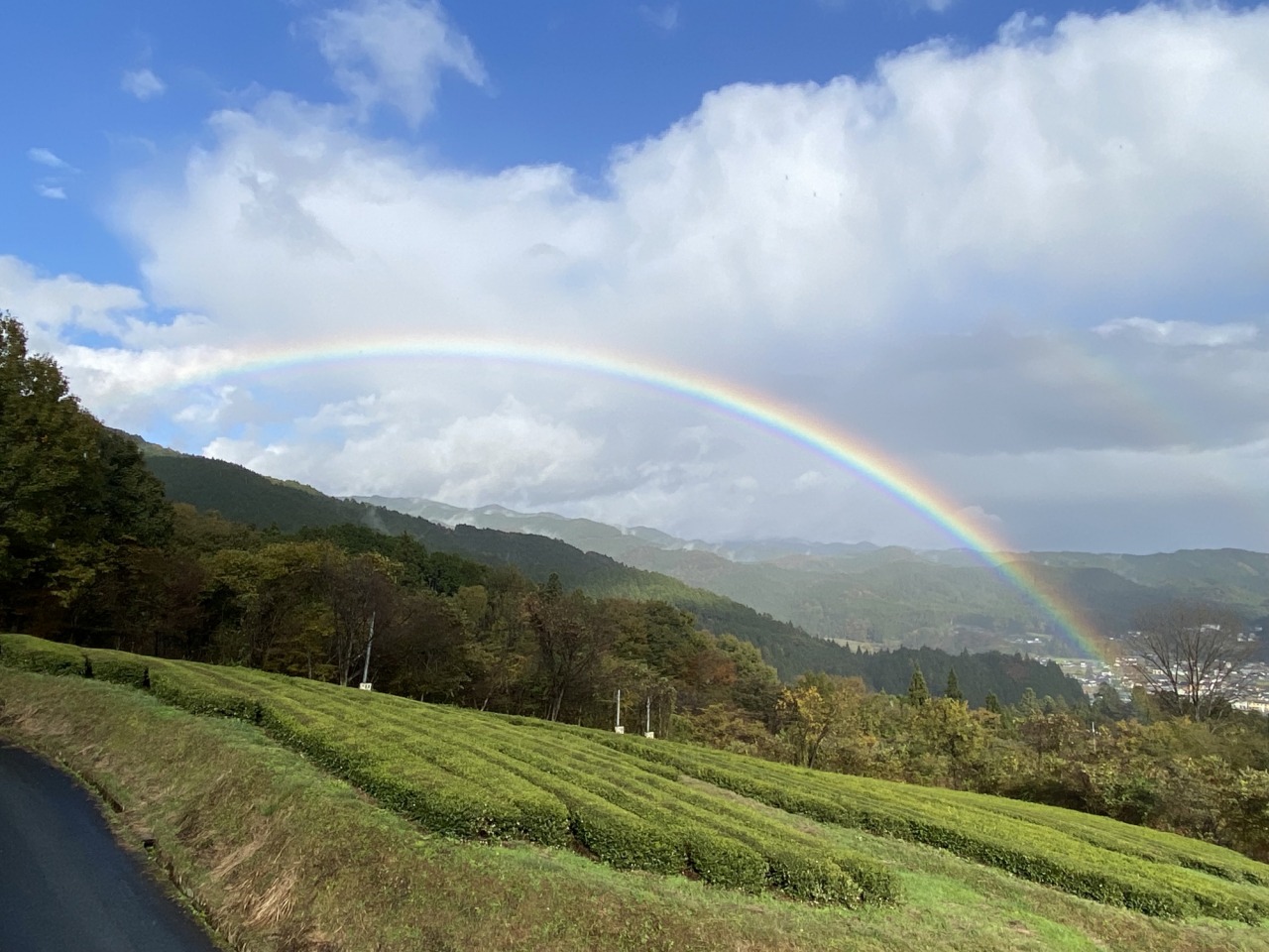 岡山県新見市で絶景・グルメ・異国情緒を大満喫する1日2泊の旅！
