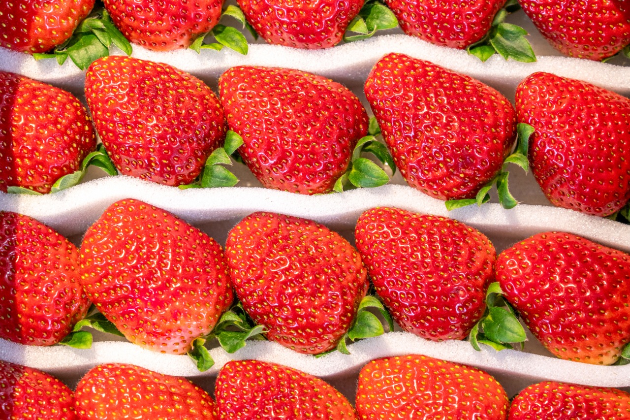 いちご狩りや自家製スイーツも楽しめる! 岡山の「いちご直売所」