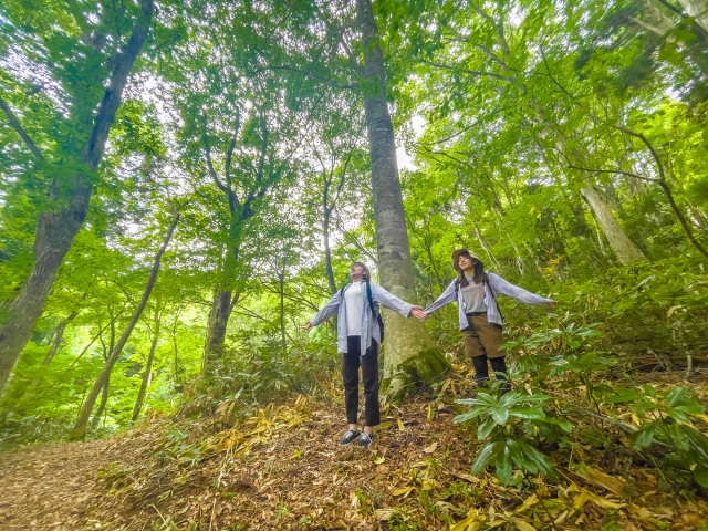 毛無山の麓で