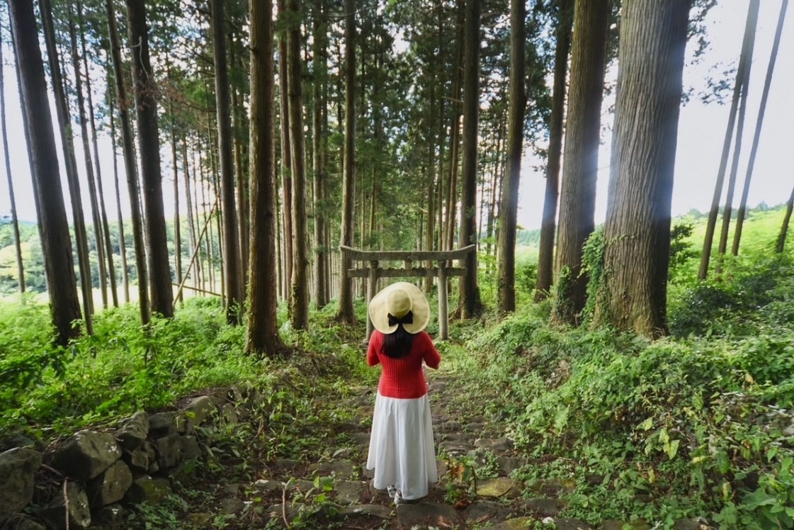 新見市の秘境神社「荒戸神社」へ。紅葉シーズンにおすすめ「てったせせらぎ公園」にも立ち寄り