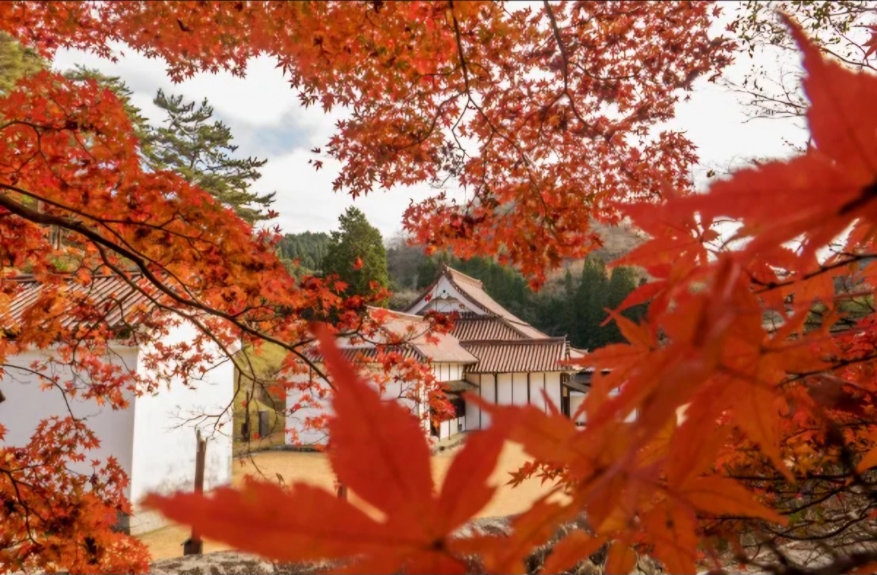 紅葉時期を迎える旧閑谷学校と池田家／ライトアップイベントも！