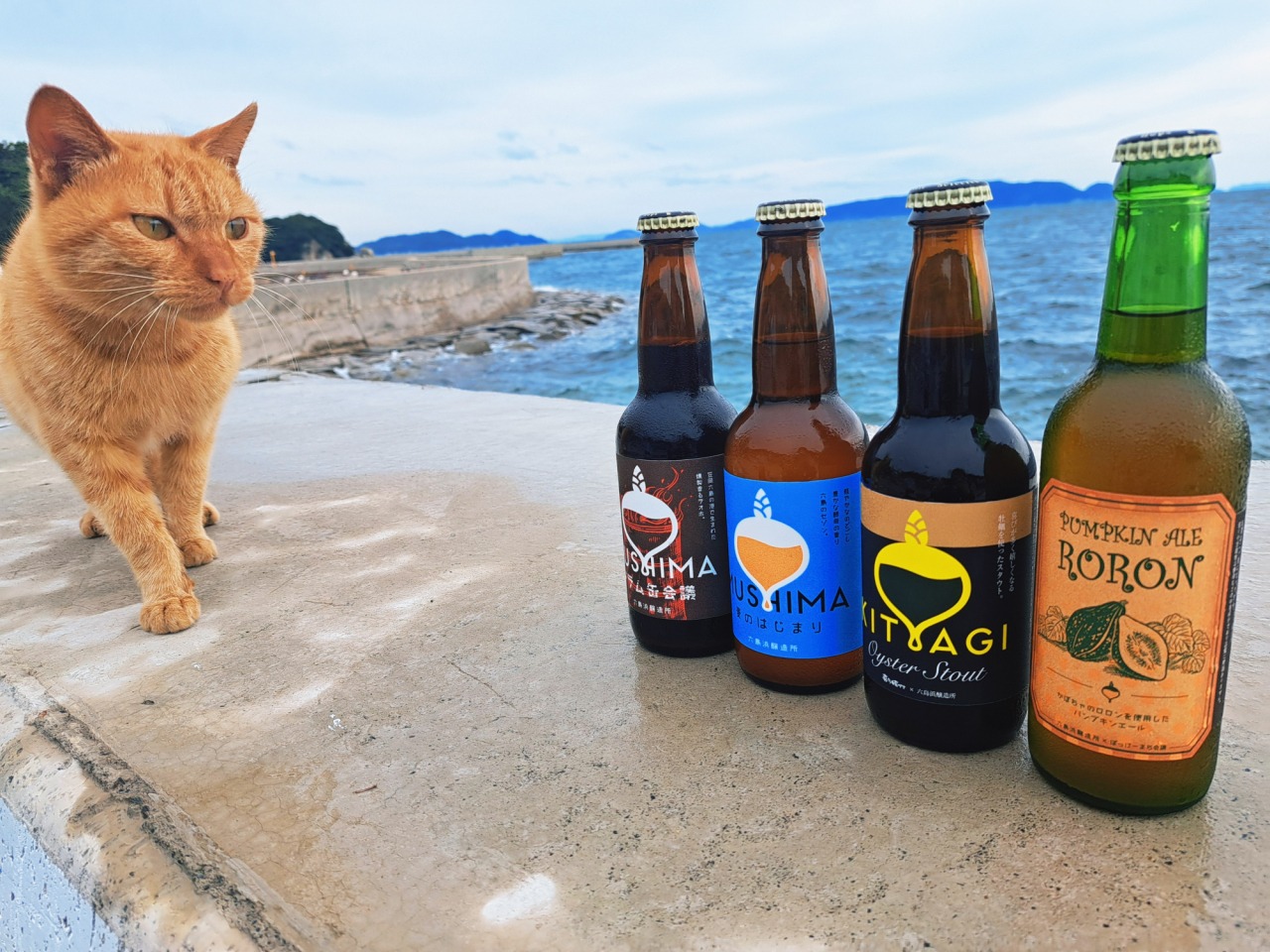 猫たちがお出迎え♪岡山・最南端の笠岡諸島「六島」へ癒しの島旅