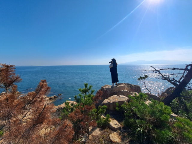 歴史と自然美が眠る備前市日生「大多府島」を歩いて感じる島時間
