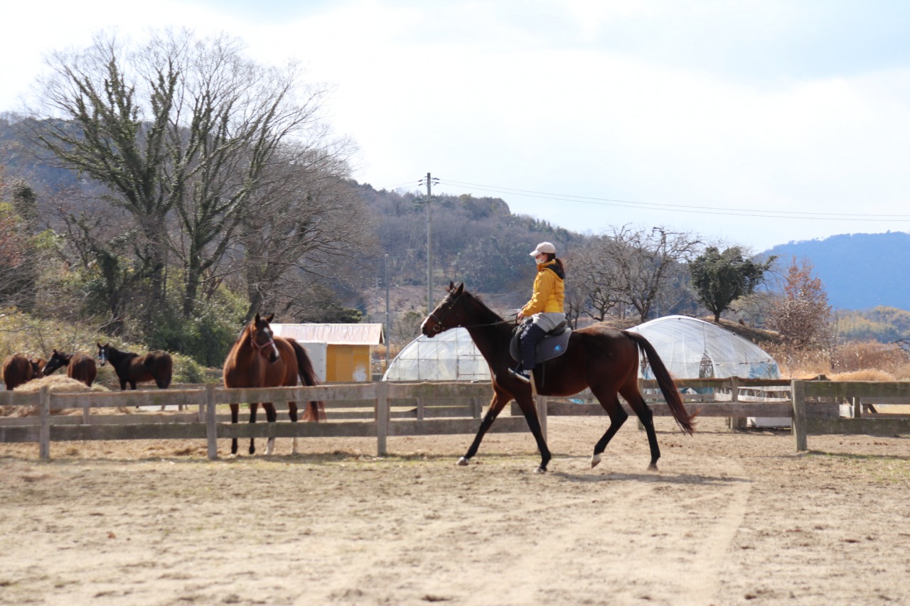 吉備路風景を眺めながら引馬体験。造山古墳にも“コーフン”!(岡山市)