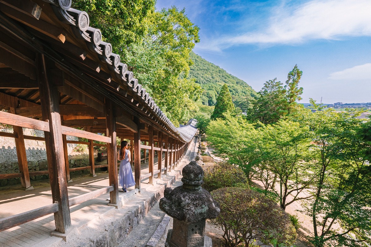 アジサイが見頃の「吉備津神社」は国宝本殿・再建600年！壮麗な廻廊もご紹介