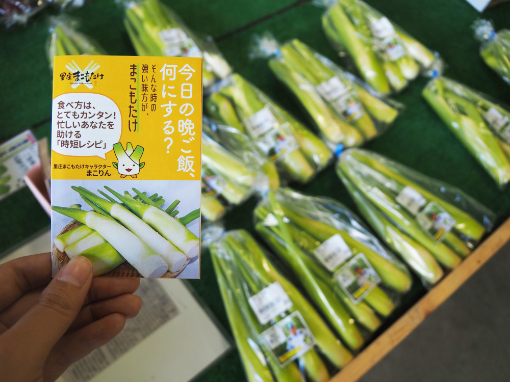 シャキシャキ食感がクセになる！岡山・里庄町の特産品「まこもたけ」を徹底解剖