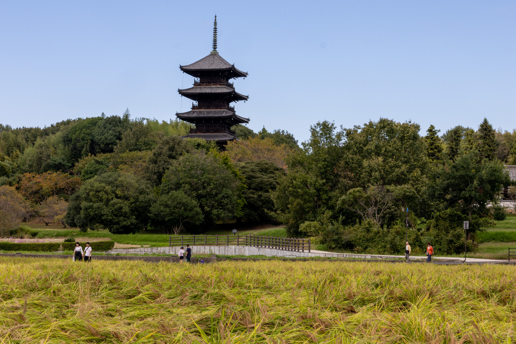 吉備津神社・備中国分寺五重塔などの名建築をつくった大工集団~塩飽大工の足跡をたどる ~