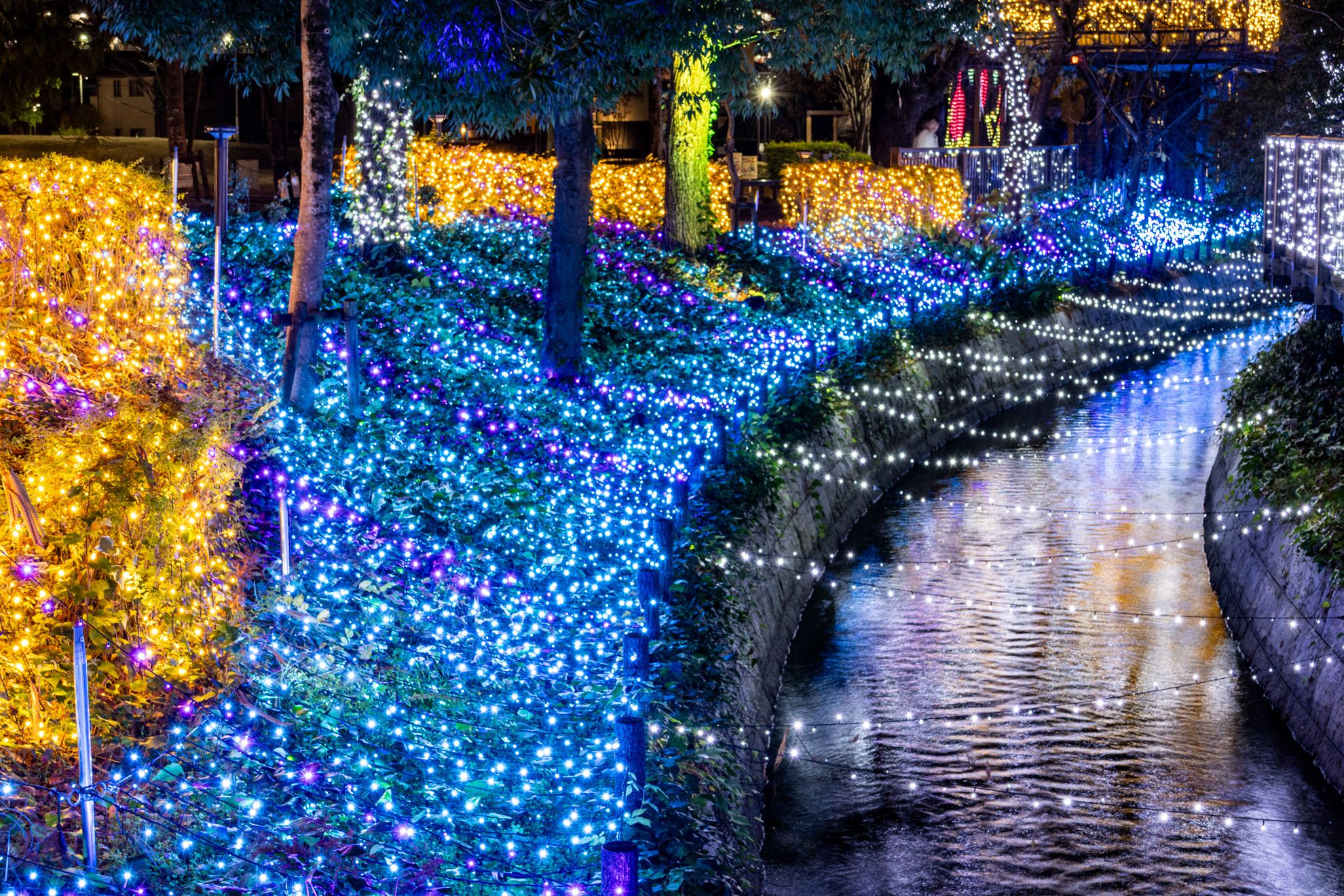 【2025～2026】くらしき きらめきのみち－JR倉敷駅からすぐ！水辺と街に彩りを添える18万球のイルミネーション