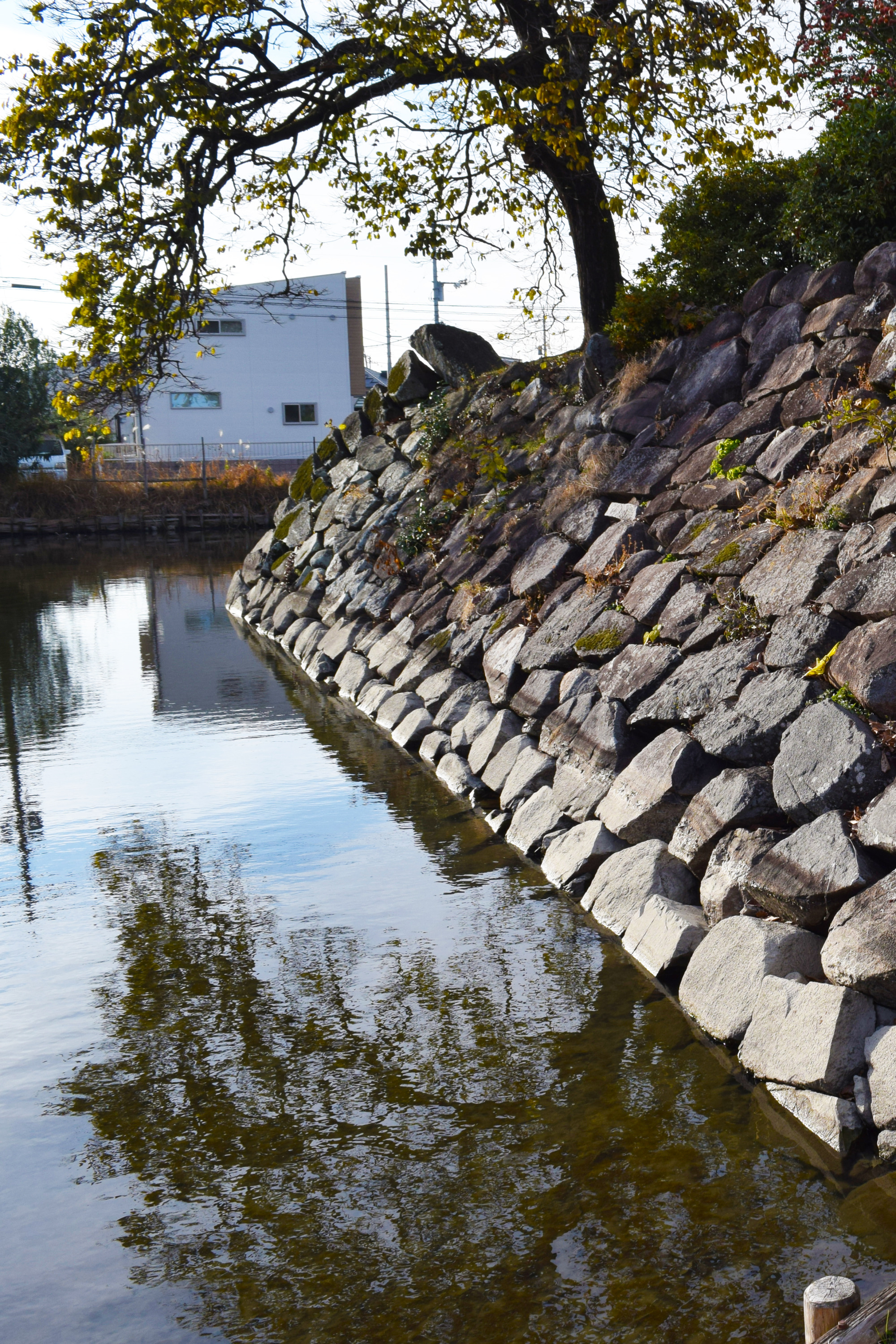 市街地に残された希少な沼城の遺構「庭瀬城・撫川城」と城下町の魅力を徹底解説!(岡山市)