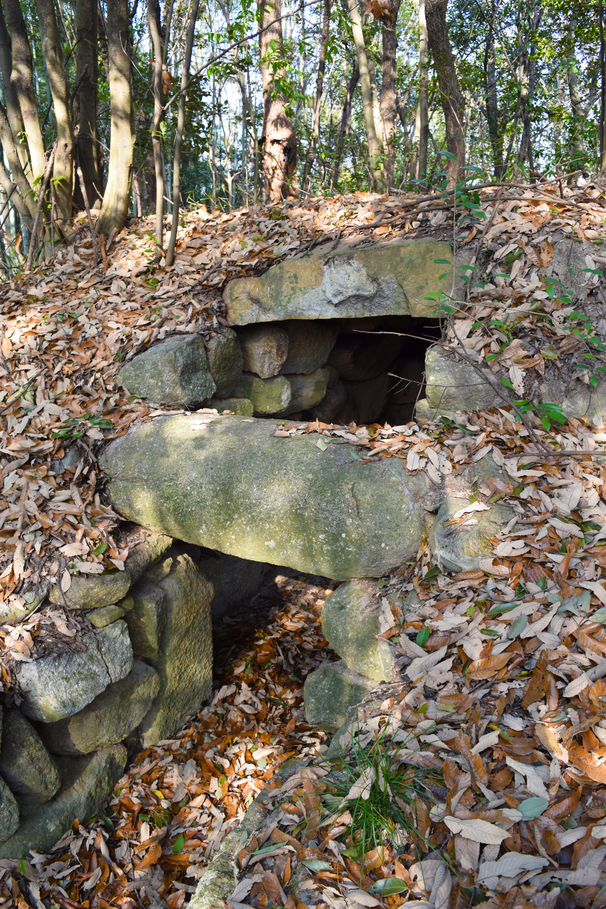 【岡山の古墳】備中国分寺から近い！緑山古墳群で巨大な横穴式石室に入ってみよう！（総社市）