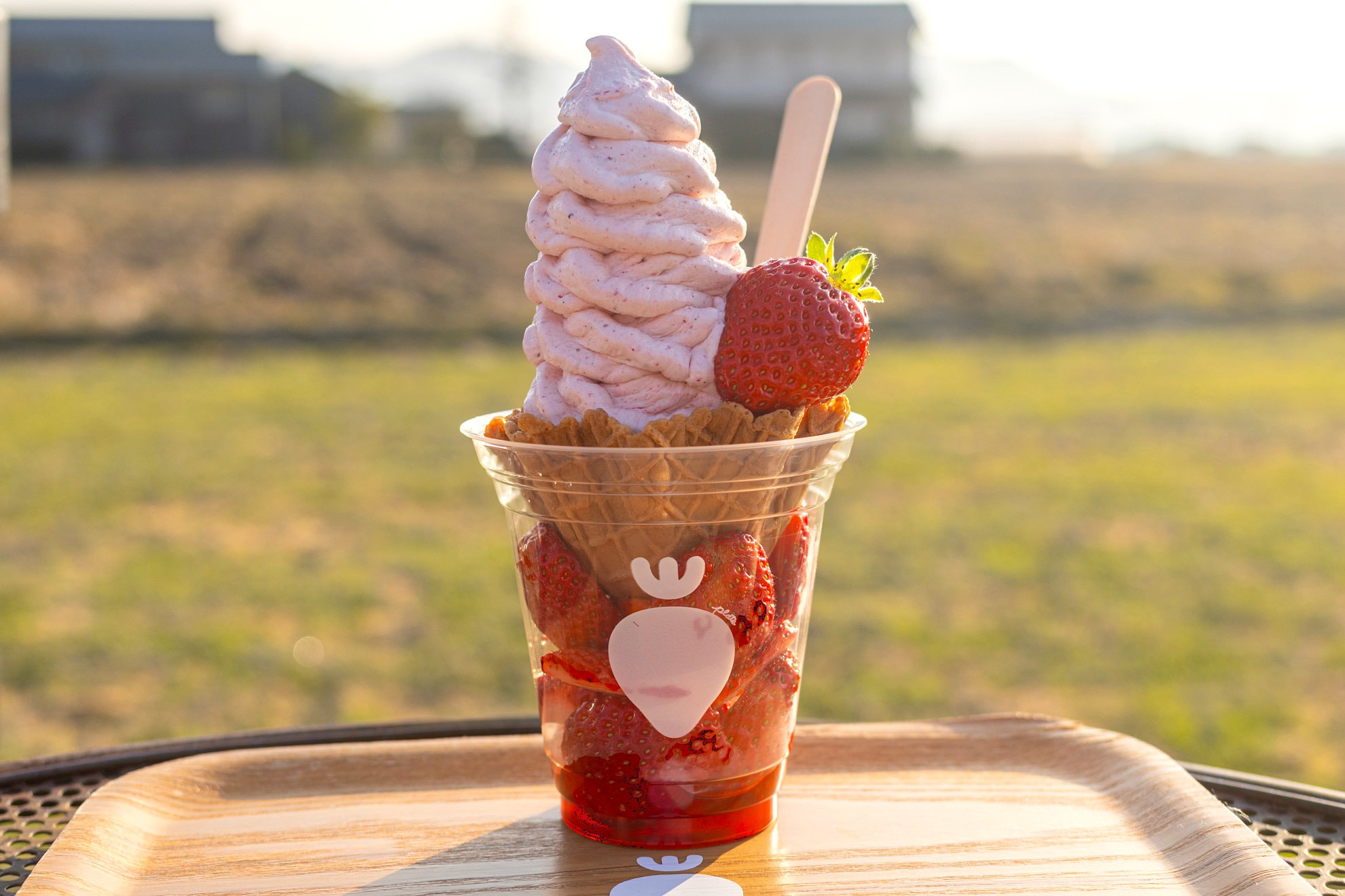 奥山いちご農園 〜 いちご農家直営！絶品の完熟いちごを使ったスイーツとドリンク〜（岡山市）